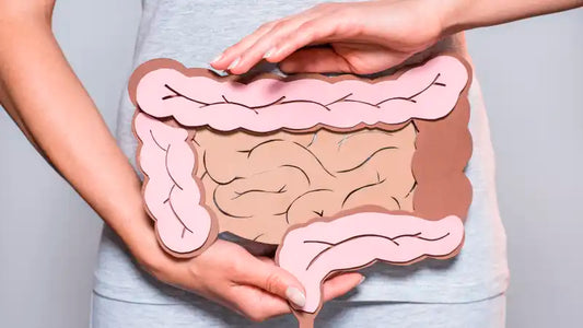 Portada del blog 5 formas de mejorar tu salud digestiva con probióticos