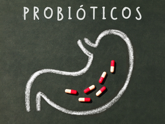 Probióticos en la Salud Digestiva: Eficacia, Usos y Mitos